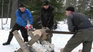 preview picture of video 'Polttopuiden tekoa Öögalla 21.2.2009'