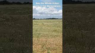 Beautiful 2.38 Acre Lot for Sale ~30mins NW of Oklahoma City! Quiet Country Living! / Owner Finance