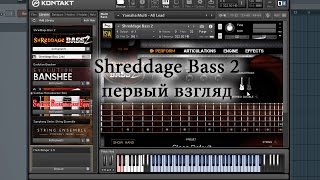 Video thumbnail for Shreddage Bass 2 - первый взгляд by Mikhail Grudinin (Metal видеоуроки)