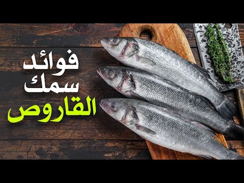 ما هي فوائد سمك القاروص ؟