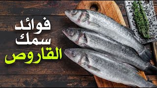 ما هي فوائد سمك القاروص ؟