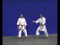 8 Bunkaï Chinte III