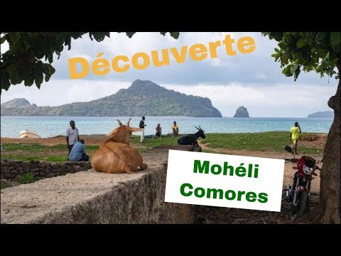 Découverte de Mohéli : joyau des Comores