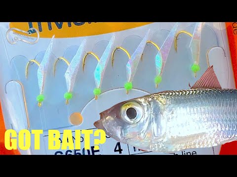 HOW TO USE A SABIKI RIG TO CATCH BAIT (FF Episode 13, Season 1)