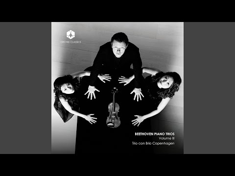 Piano Trio No. 7 in B-Flat Major, Op. 97 "Archduke Trio": I. Allegro moderato