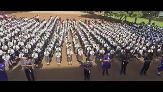 Niddhi Palrecha video