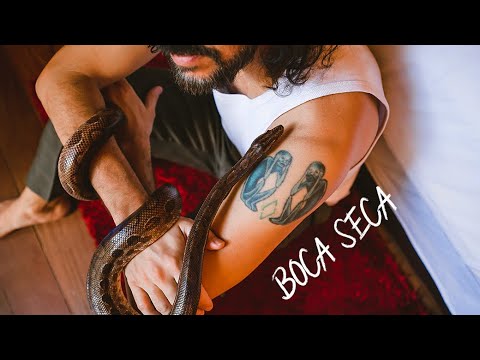 Gabriel O Pensador, Sant - Boca Seca (Visualizer)