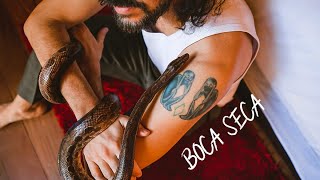 Gabriel O Pensador, Sant - Boca Seca (Visualizer)