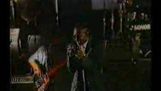 MELODIANS TREASURE ISLE STYLE LIVE