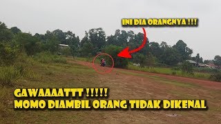 Download lagu G4W4AATT .. MACAW DIAMBIL ORANG TIDAK DIKEN4L ... mp3 Download lagu G4W4AATT .. MACAW DIAMBIL ORANG TIDAK DIKEN4L ... mp3