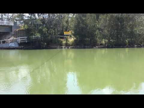 Budgewoi Creek - Central Coast NSW