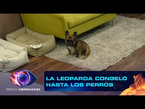 Programa 117 (28-04-2025) - Gran Hermano