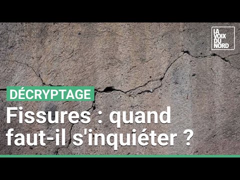 Fissures qui apparaissent sur un mur : quand faut-il s’inquiéter ?