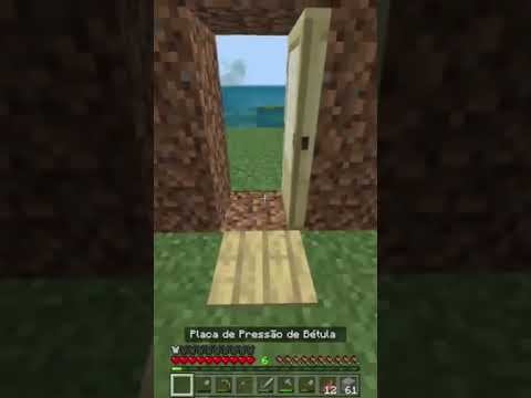 Unbelievable Redstone Door in Minecraft!