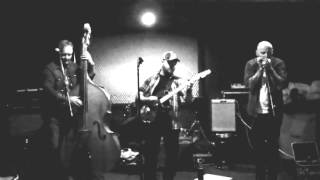 The Swamp Hoppers - One of The Fortunate Few