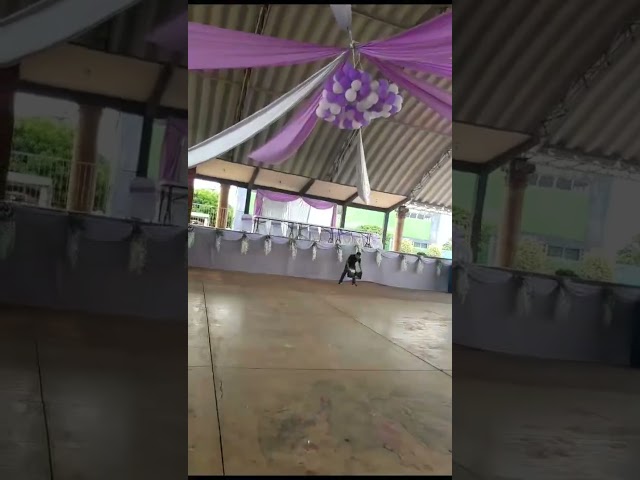 Vídeo relacionado con purpura cantante estrellas fiesta platos servilletas guirnaldas cumpleanos accesorios dos mil concierto cinefilos graduacion decoracion servicio diez