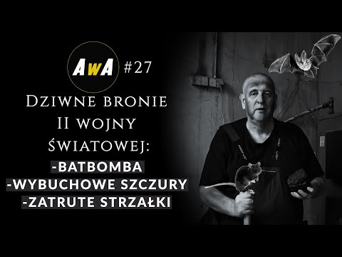 Najdziwniejsze bronie II wojny światowej