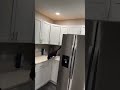 Cat Slips In Washing Machine Shorts