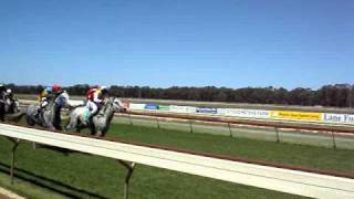 preview picture of video 'Pinjarra Picnic Race Meeting - All Greys Challenge'