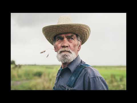 What Do You Want From Me - OTE feat. Steven Ellis