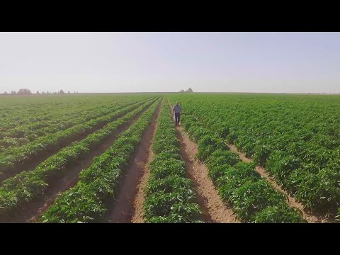 A Day on a Produce Farm | Food52