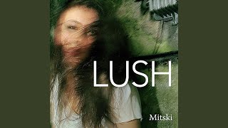 Cover art for brand new city - mitski