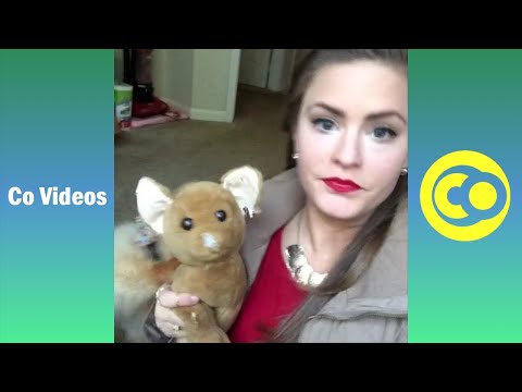 Ultimate Sara Hopkins Vine Compilation 2020 | Funny Sara Hopkins Vines (w/Titles)