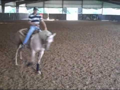 French Flit Tuff Gal