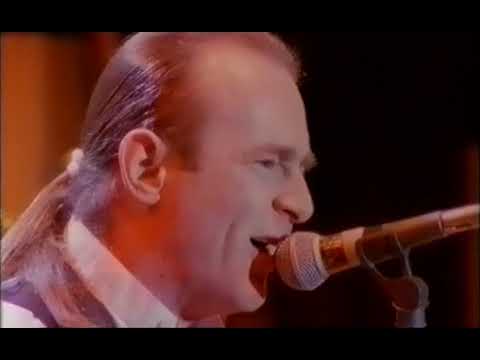 Status Quo - Live in Birmingham at the N.E.C. 1989 (Rocking All Over The Years)