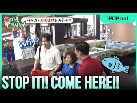 Choi Jinhyuk's "critical mistake" at a seafood restaurant & his mom's tears|My Little OldㅌBoy Ep.424