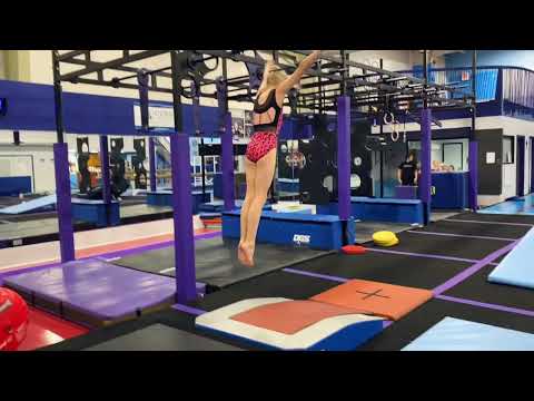 Level 3 - Start of Yurchenko Development