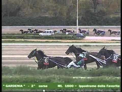 2° CORSA  del 6 APRILE 2016