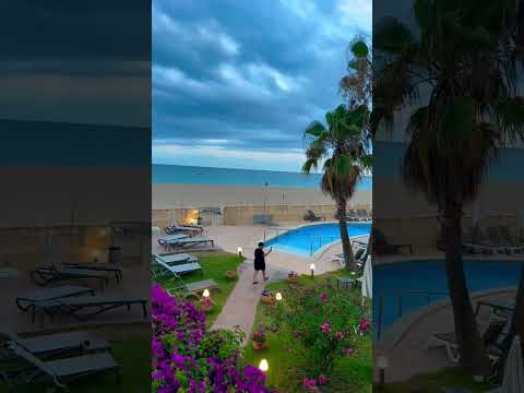 Videos del Amaraigua 4★ en Malgrat de Mar, EspañaVer MásVerPrecios17CerrarConsulta por Whatsapp 🇦🇷BookingTripadvisorExpediaAgodaTravelocityOrbitzPricelineTripSkyscannerDespegarKayakHotelesDestiniaTrivagoTurismocityLastminuteTui