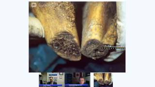 The forensicweek.com Show - Episode 011 [Solving A Serial Murder Case] video