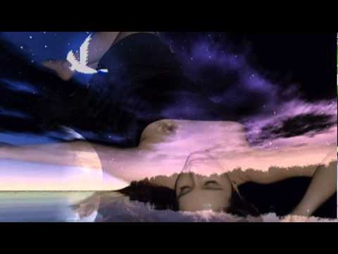 Dino -- Luciernaga (1,982)