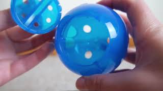 Petsafe Interactive Feeder Toy review (We Tried It)