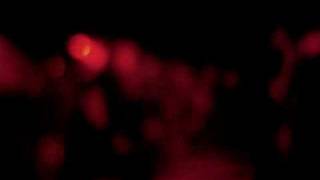 Hatesphere - 500 Dead People : Live in Flensburg 15-04-2009