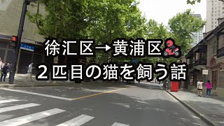 【上海中心地ドライブ】新しい撮影グッズ買ったので、試してみた☆