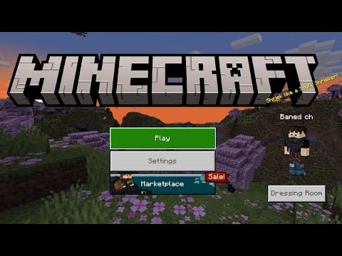 DIAMOND HUNT - BANNED from Minecraft! #7