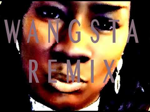 WANGSTA REMIX PAULA PERRY