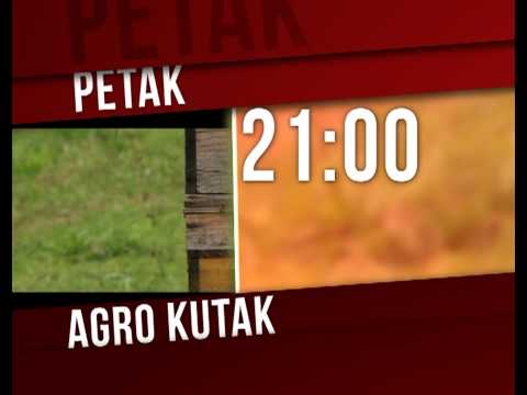 Najava - Agro kutak - Pčelarstvo