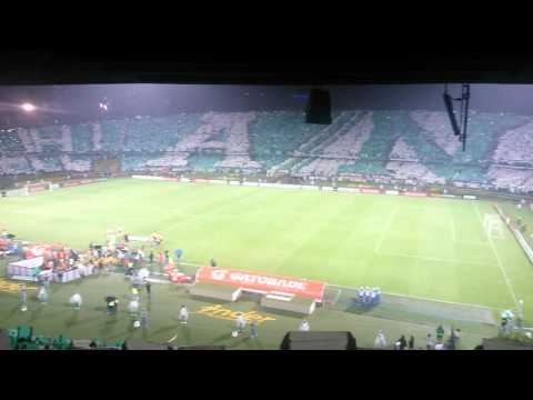 "Salida Atlético Nacional vs Club Atlético Huracán." Barra: Los del Sur &bull; Club: Atlético Nacional