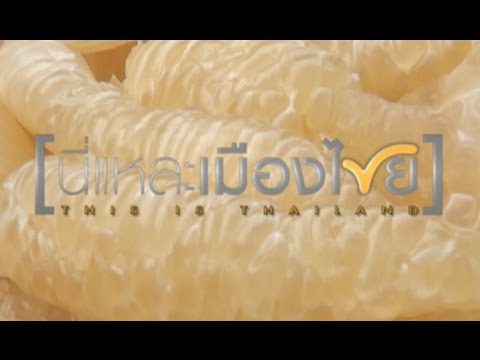 เที่ยวชัยนาท