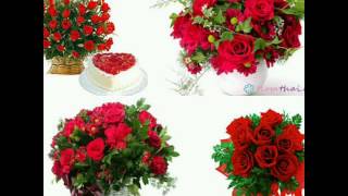 nueva vida conjunto primavera