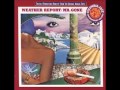 Weather Report     Pinocchio