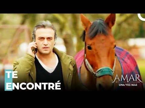 Salman Aprendió El Lugar De Mirat - Amar Una Vez Más