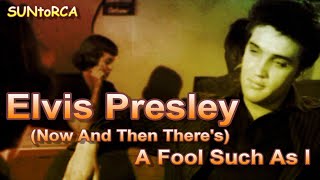 Elvis Presley - (Now And Then There&#39;s) A Fool Such As I (Colourised Video Edit)