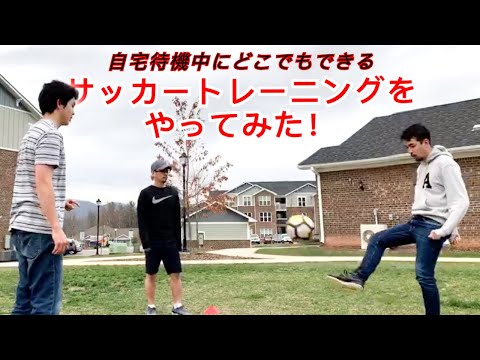 樹木の中での「ソーシャル・ディスタンシング」