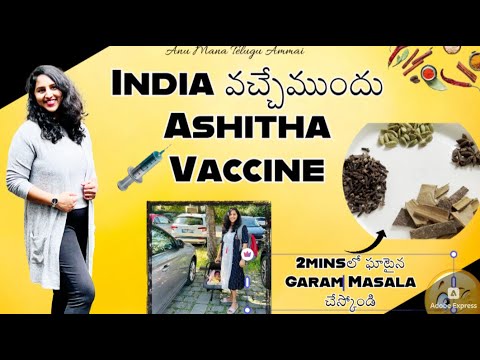 Vlog #Ashitha Vaccine Day #Chocolates shopping #Homemade Garammasala #teluguvlogsfromgermany