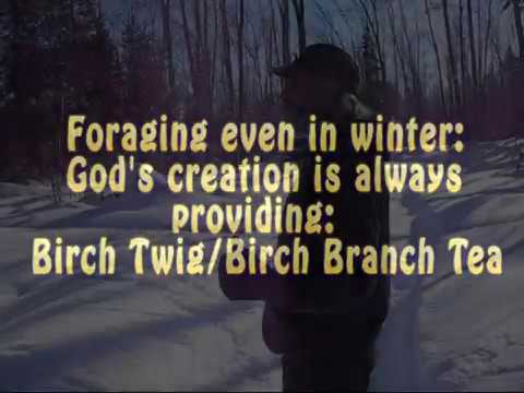 Winter Foraging: How We Make Birch Branch/Twig Tea An Anti-inflammatory and Soothing Drink